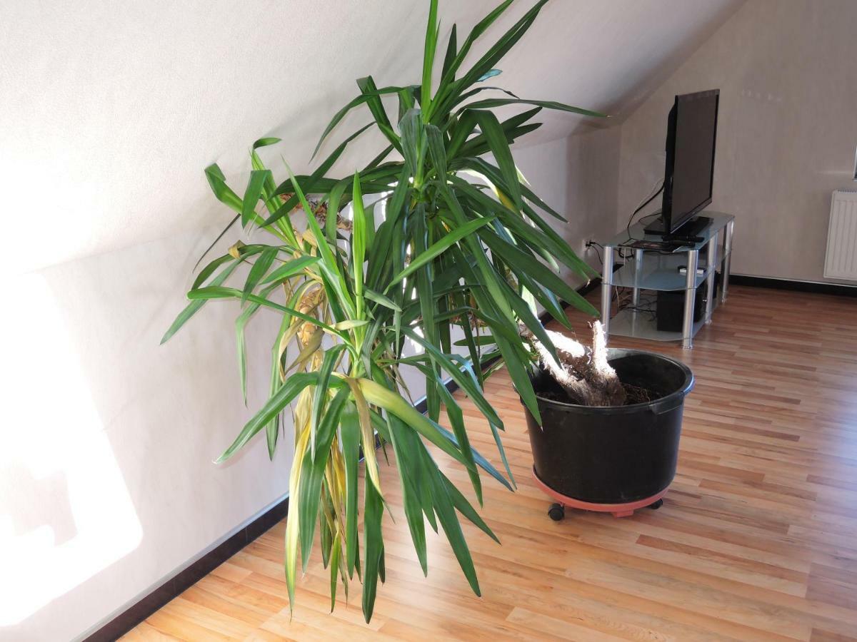 Guesthouse "Southside Of Hamburg" Extérieur photo